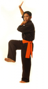 Bildschirmfoto 2013-02-13-um-11.57.361-163x300